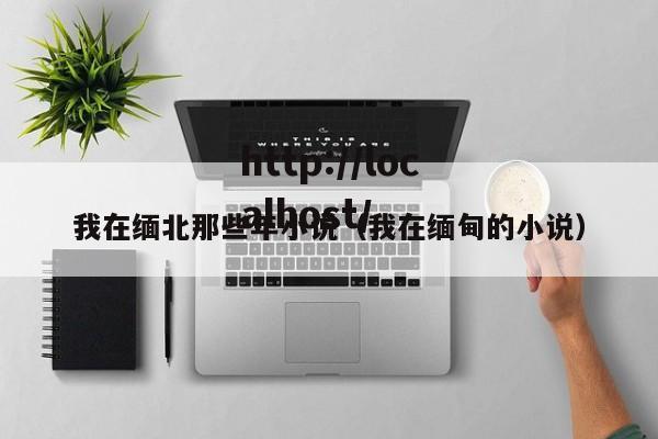 我在缅北那些年小说(我在缅甸的小说)